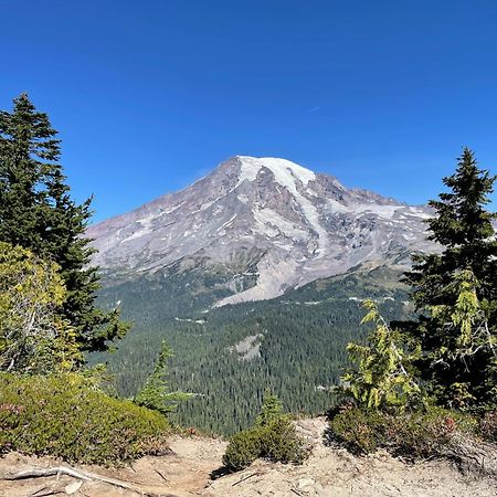 New Modern Cabin! 5Mi To Mt Rainier National Park! Hot Tub & Wifi 阿什福德 外观 照片