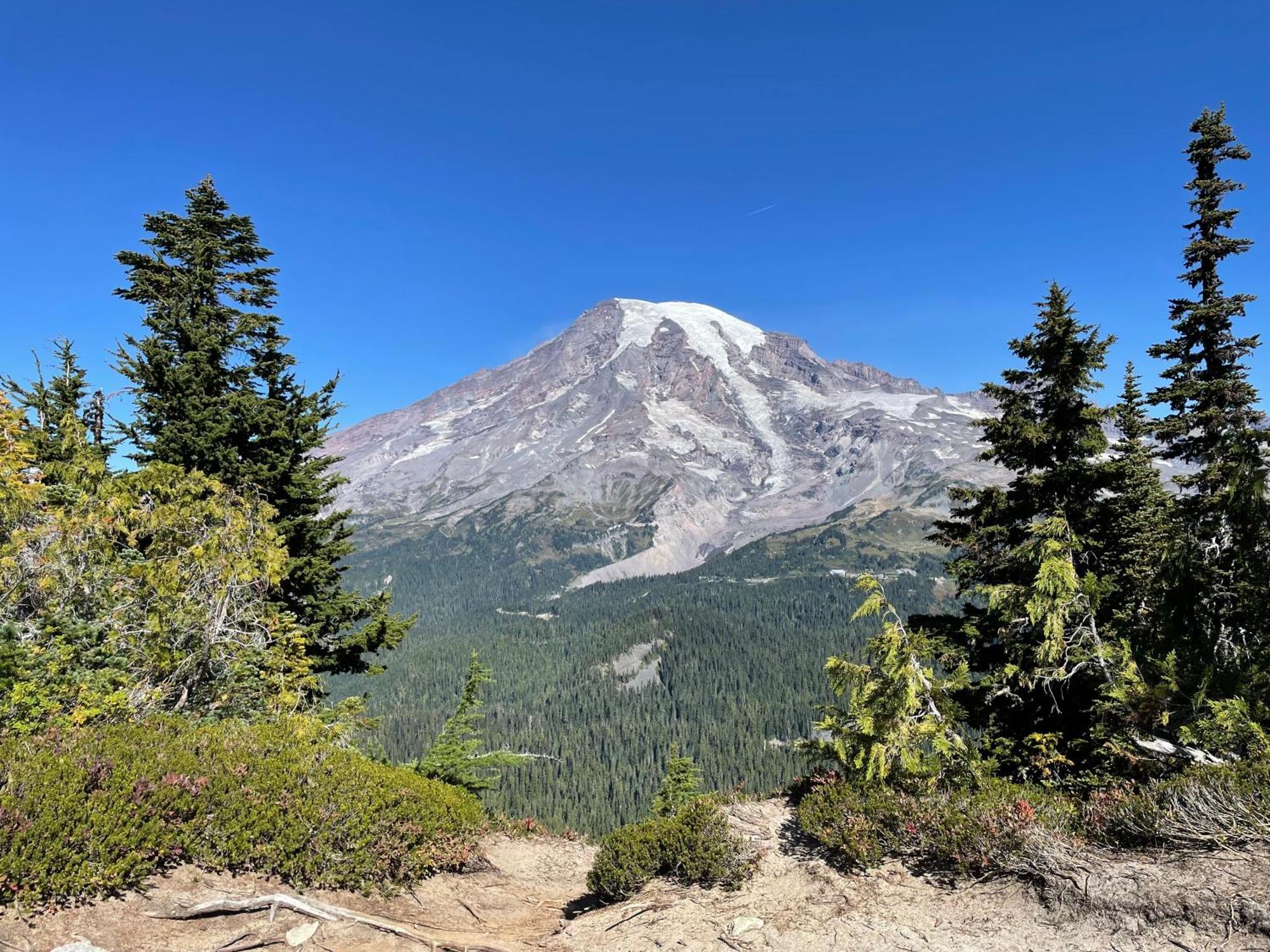 New Modern Cabin! 5Mi To Mt Rainier National Park! Hot Tub & Wifi 阿什福德 外观 照片